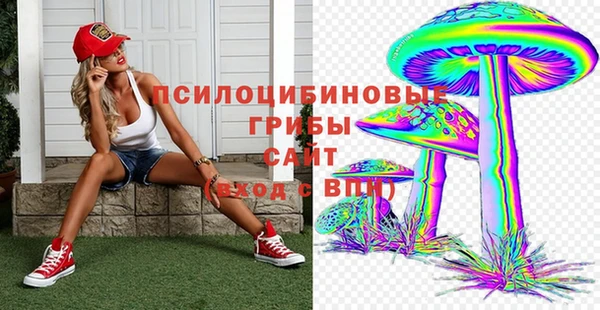 индика Баксан