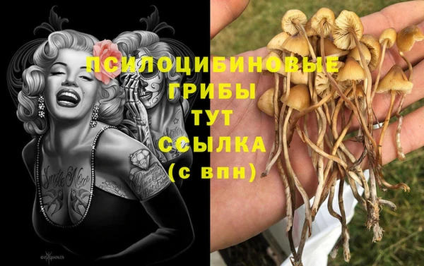 индика Баксан